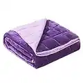 Satwip Weighted Blanket Queen Size 15lbs Fuzzy Warm Flannel Throw Blanket with Soft Breathable Sanded, 60 x 80 inches, Purple