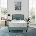 NapQueen Anula, Twin 8'' Green Tea Memory Foam Mattress, Bed in a Box