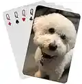 Carte da gioco personalizzate Carte da poker personalizzate Carte personalizzate Mazzo di carte Mazzi di carte Carte da gioco (1 mazzo da poker)