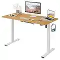 FLEXISPOT Basic Bureau Assis Debout, Bureau Électrique Réglable en Hauteur à 2 Étages avec Mono-Moteur, Panneau à 2 Boutons, Installation Facile,100x60x(73-121) cm(Cadre Blanc+Plateau Érable)