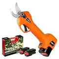 Pruning Shear Battery Powered, Kebtek Electric Pruning Shears Cordless Portable Electric Pruner with 2Pack 2Ah Rechargable Batteries -16.8V 25MM(0.98Inch)Cutting Diameter2