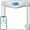 Etekcity Digital Body Weight Bathroom Scale, Large Blue LCD Backlight Display, High Precision Measurements, 8mm Tempered Glass, 440 Pounds