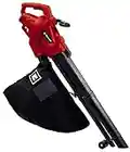 Einhell Aspiratore Elettrico GC-EL 3024 E, Nero Rosso