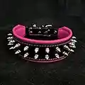 Bestia "Frenchie'' Collar de Perro con púas, 100% Cuero, Acolchado Suave, Fabricado en Europa