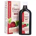 hübner Eisen Vital® F Eisen Liquid Trinksaft 500 ml