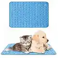 XiYee Tapis de Refroidissement pour Chien, Tapis Rafraichissant Argent Glacé Tapis, Mesh Respirant Ice Silk Autoventilation Pet Mat Pad Coussin pour Chiens de Petite et Moyenne Taille ou Chats (B)