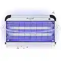 ASPECTEK Professional Electronic Indoor Insect killer,Bug Zapper,Fly Zapper,Mosquito Killer,30W UV Bulbs for Home & Commercial Use (UK PLUG)