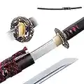 Samurai Sword Japanese Katana 9260 Steel Cold Steel Katana Sword Real Sharp Training Katana (Dragon Design)