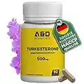 Turkesterone 500mg Hautement dosé pour un développement musculaire maximal | 90 capsules | 10% standardisé | Végétalien & Sans Gluten | Naturel anabolisant pour le développement musculaire