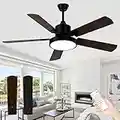 ghicc 52-Inch Ceiling Fans with Lights, Black Fan Lights Remote Control- Reversible Silent DC Motor and Matte