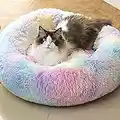 Raimaiso Anti Anxiety Round Fluffy Plush Faux Fur Warm Washable Dog Bed & Cat Bed, Original Bed for Small Medium Large Pets,Used to Relieve Joints and Improve Sleep（20"/24"/27''） (20", Rainbow)