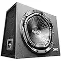 Sony XS-NW1202E Auto Subwoofer (1800 Watt und RMS 420W ), Schwarz