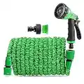 WESEN Tubo Estensibile da Giardino 10m/15m/30m/38m/45m/60m, Garden Hose magia Tubo Flessibile con Pistola spruzzo, Giardino Estensibile Tubo per Giardino/Cortile/Pulizia Auto/Cane (30 Metri, Verde)