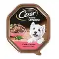 Cesar Rezepte von Landfutter für Hund mit zartem Kalbfleisch und Truthahn 150 g - 14 Tabletten