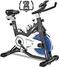 LABGREY Cyclette Professionale, Bicicletta ad attrito Indoor da Camera con Schermo LCD e Portabicchieri, Volano 15kg, per Fitness ed Esercizio a Casa (Blu)