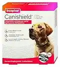 Beaphar Canishield Collier antiparasitaire Large 65 cm, 2 Colliers pour Chiens - Collier Anti-puces et Anti-tiques