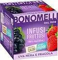 Bonomelli Infusi Fruttosi, Uva Nera e Fragola, Confezione da 12 Filtri, Gusto Intenso e Delicato, Infusione a Caldo e a Freddo, Ingredienti 100% Naturali