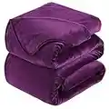 HOZY Plaid Coperta Pile Matrimoniale Antistatica - Super Morbido Coperta leggera e Calda - Adatta per Copriletto Copriletto e Copridivano - Viola Grande 220x240cm