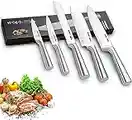 HOBO Kitchen Knife Sets, 5 Piece Stainless Steel Kitchen Knives with Ultra Sharp Blade and Frosted Handle, Includes Chef Knife, Bread Knife, Santoku Knife, Utility and Paring Knife, All in a Gift Box