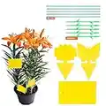 YHmall 30pcs Pièges à Insectes Pièges Engluées Autocollants Colle Double-Face Étanche Jaunes Attrape Mouches Pucerons Blanches pour Jardin Plante Fleur Fruits (3 Formes)