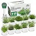 Kit de jardín de hierbas para interiores – 10 hierbas variadas con kit completo de cultivo de hierbas – ventana de cocina jardín de hierbas – Regalos únicos de jardinería para mujeres y hombres