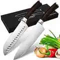 Enfmay Kitchen Knife Set, Professional German High Carbon Kitchen Knives, 2 Piece Stainless Steel Sharp Blades with Gift Box, Ergonomic Handle Include Chef Knife & Santoku Knife