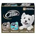 CESAR Filets in Sauce Wet Dog Food - 6 New York Strip Flavour and 6 Chicken & Garden Vegetable, 12x100g