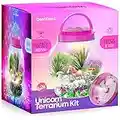 Light-Up Unicorn Terrarium Kit for Kids - Kids Birthday Gifts for Kids - Best Unicorn Toys & Activities Kits Presents - Arts & Crafts Stuff for Little Girls & Boys Age 4 5 6 7 8-12 Year Old Girl Gift