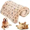 NALCY Cat Dog Crate Pad, Cat Dog Mat, Washable Cat Dog Crate Bed Cushion, Dog Cat Blanket Fleece Pet Pad, Winter Sleeping Bed Comfort for Small Dogs, Pets, Cats (55 * 42 CM)