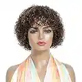 Short Curly Wigs with Bangs, Human Hair Wigs for Black Women, 150% Density Highlight Color Brown Mix Auburn Regular Wig, Machine Made Glueless Wig for African American Women