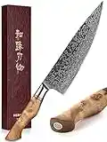 HEZHEN Kochmesser-Professional-21cm Damaststahl, Küchenmesser VG10 Hochwertiges Kochwerkzeug der Gyuto Messer Master Serie zu Hause,Restaurant Bergahorn Griff aus Restaurant