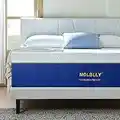 Molblly Queen Size Mattresses, 8 Inch Premium Cooling-Gel Memory Foam Mattress Bed in a Box, Cool Queen Bed Supportive & Pressure Relief with Breathable Soft Fabric Cover,Fiberglass Free，Blue