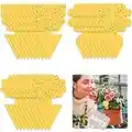 Buauty 30Pcs fly trap, Yellow Fly Paper Stickers catcher fruit fly traps indoor Non-Toxic and Eco-Friendly fungus gnat killer for Multiple Insect