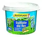 ALGOFLASH Sulfate de fer, Jusqu'à 165m², Dosette incluse, 5 kg, MOS5AR