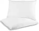 Eliza Pillows 2 Pack, Bounce To Back Hotel Quality Extra Soft Hollowfiber Filling Bed Pillows For Side, Stomach And Back Sleeper, Body Pillows (Plain Pillows)