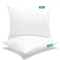 Biloban Toddler Pillow with Pillowcase 2 Pack (13 x 18), Baby Pillow for Sleeping with 100% Ultral Soft Cotton Pillowcase for Travel, 100% Hypoallergenic Toddler Pillow Perfect for Kids, White