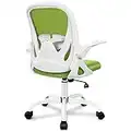 Office Chair Primy Ergonomic Desk Chair with Adjustable Lumbar Support and Height, Swivel Breathable Desk Mesh Computer Chair with Flip up Armrests for Conference Room（Green）