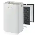 Greenmigo Deshumidificador 20L con Ionizador y Refrigerante R290,Purificador aire con filtro HEPA,Deshumidificación Continua y Silenciosa, Panel de Control Digital y Temporizador de 24h(ALPHA-Q20)