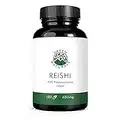 Reishi Extrakt 40% (180 Kapseln á 650mg) - deutsche Herstellung - 100% Vegan & Ohne Zusätze