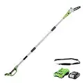 Greenworks G24PS20K2 Cordless Pole Saw, 20cm Bar Length, 6.7m/s Chain Speed, 3.2kg, Auto-Oiler, 50ml Oil Tank, 2.6m Pole Reach, 24V 2Ah Battery & Charger, 3 Year Guarantee