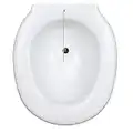 Bidé sanitario acoplable al inodoro, Plástico, 38 x 41.5 x 14 cm, Portátil, Con tapón, Universal, Bidé adaptable para WC, Bidé para inodoro, Transportable, Bidet acoplable para WC, Blanco