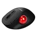 DeLUX Trackball Mouse Ergonomico Wireless, Facile Controllo del Pollice, Multi-Dispositivo, Bluetooth 5.0, Ricevitore USB da 2,4 G, 400-2400 DPI, per PC/Computer/Portatile/Mac/Laptop (MT1-Nero)