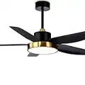 ALUOCYI 56 Inch Black Ceiling Fan with Lights and Remote Control, Outdoor Ceiling Fan with 3 color Memory and Timing,5 Bades 6 Speeds Reversible Motor for Living Room,Bedroom,Patio, Gold- Matte Black