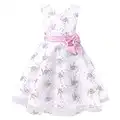 Freebily Vestito da Cerimonia Bambina Lungo Elegante Tulle Petali di Rosa Abito da Principessa Battesimo Abito Damigella Vestito da Sposa Matrimonio Colorati Comunione Rosa D 4-5 Anni