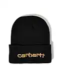 Carhartt Mens Knit Insulated Logo Graphic Cuffed Beanie, Black, One Size