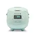 Reishunger Mini Auto Cuiseur Riz (rice cooker) Japonais et Cuiseur Vapeur Menthe avec la Fonction de Maintien au Chaud et Bol en Céramique, dont Cuillère et Tasse à Mesurer – 0.6 l pour 1-3 personnes