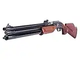 Dragon Claw Dual Tank Air Rifle air rifle