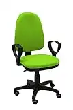 La Silla de Claudia - Silla Escritorio y Oficina Torino Color Verde Pistacho. Silla Oficina ergonómica con reposabrazos. Asiento y Respaldo Regulables. Ruedas de Goma.