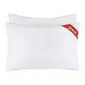 Laura Benasse Set de 2 Almohadas para Dormir, Tamaño Queen 50x75 cm Todocama, Doble Funda, Relleno de Microfibra, Cojín para Sofás