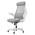 MELOKEA Ergonomic Office Chair with Neck Support, Desk Chair High Back Mesh Office Chair with S-shaped Lumbar Support Flip-up Armrests Adjustable Headrest, Computer Chairs for Home White-Grey